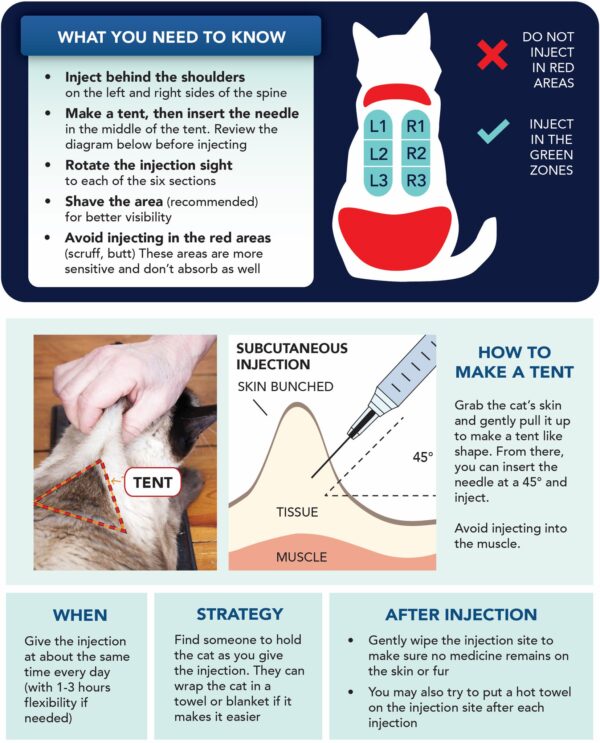 FIPtreatmentguide